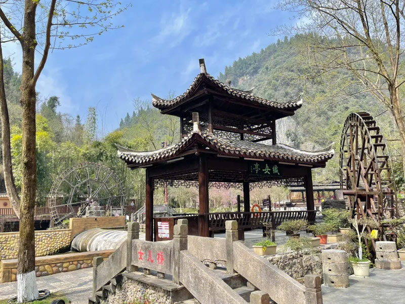 冬吃萝卜夏吃姜 夏季吃姜有哪些好处