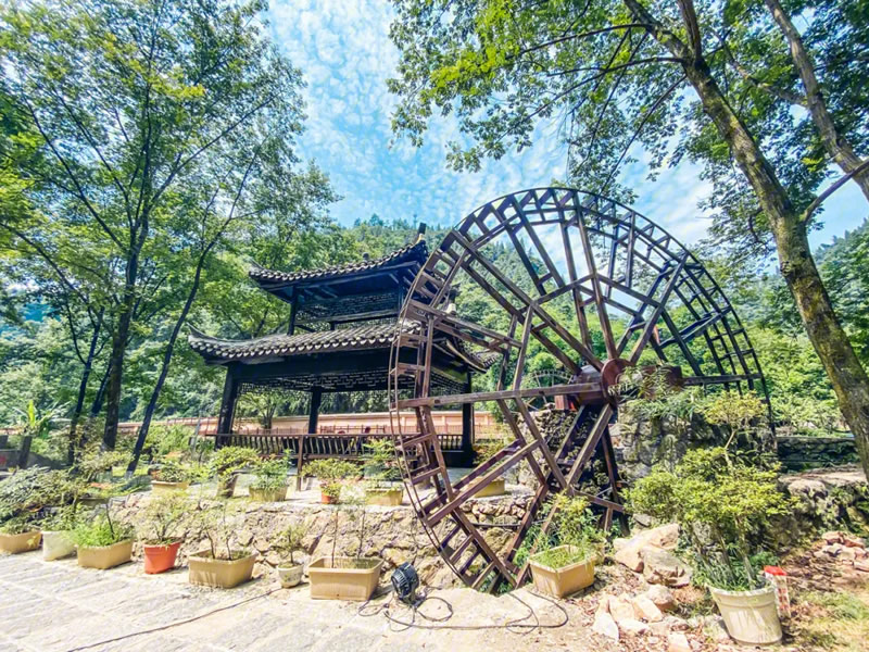 喝牛奶要注意的几个问题